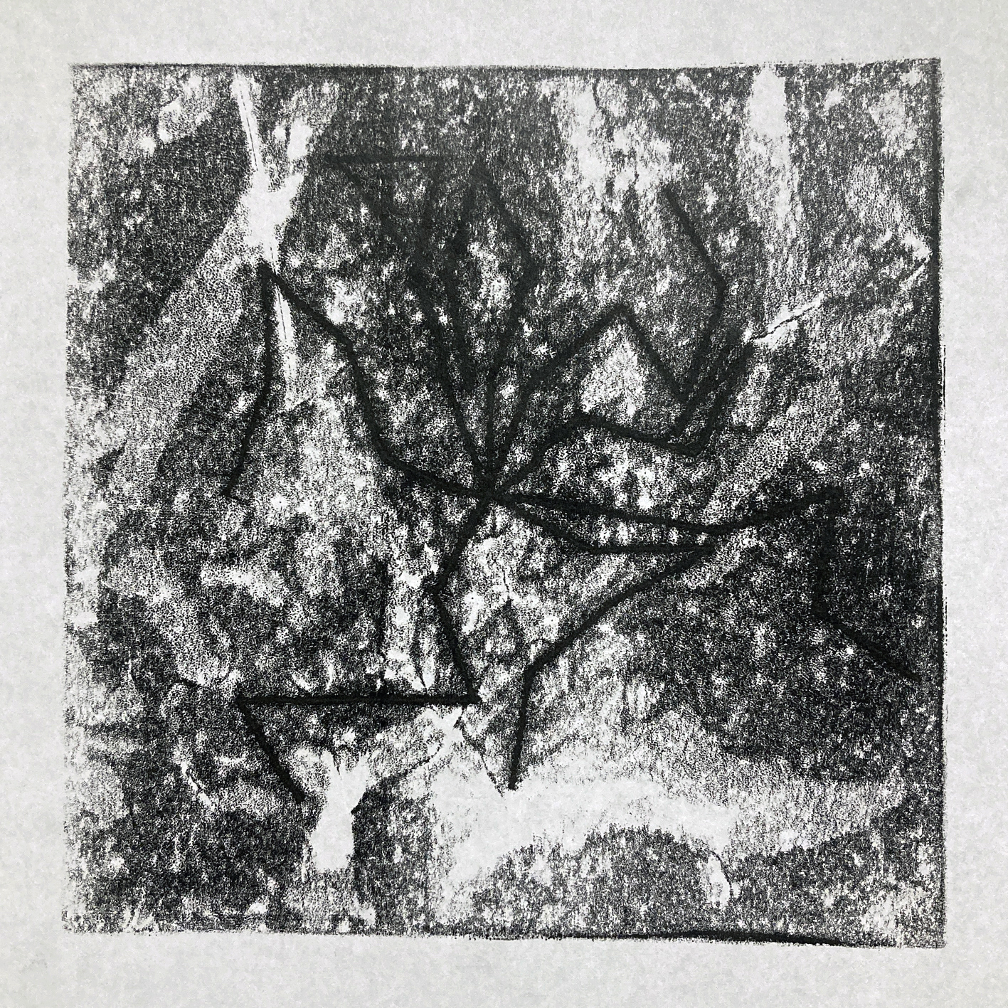 Visuel – araignee-3