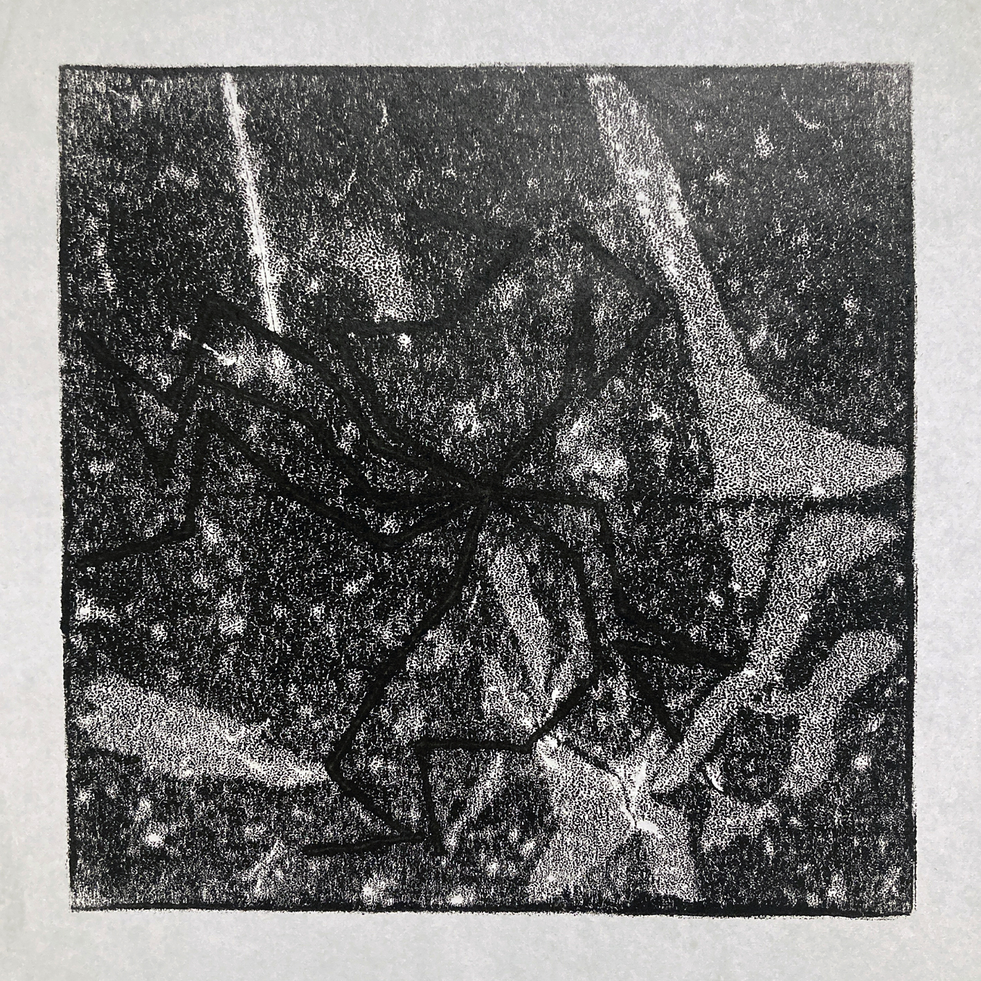 Visuel – araignee-4